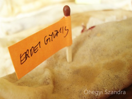 Ez az erdei gyümölcs nagyobb részt házi málna, de eme fogalmazászavar minket nem zavart.